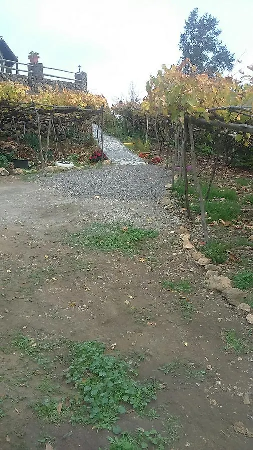 Casa Canaria La Moncloa Villa Icod De Los Vinos Spain